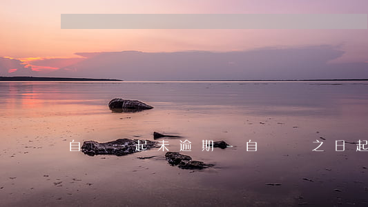 自處罰起未逾期-自處罰之日起逾期