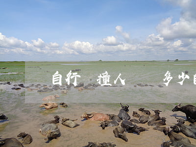 自行車撞人賠償多少(自行車撞傷人)