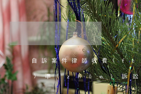 自訴案件律師收費(fèi)標(biāo)準(zhǔn)(訴訟案件律師費(fèi)收費(fèi)標(biāo)準(zhǔn))