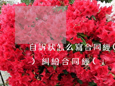 自訴狀怎么寫合同經(jīng)濟(jì)糾紛(合同經(jīng)濟(jì)糾紛起訴書怎么寫)