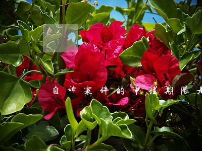 自诉案件的审理期限是多久