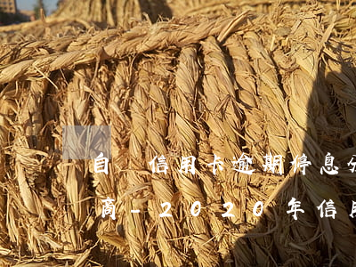 自貢信用卡逾期停息分期怎么協(xié)商-2020年信用卡停息掛賬分期辦理