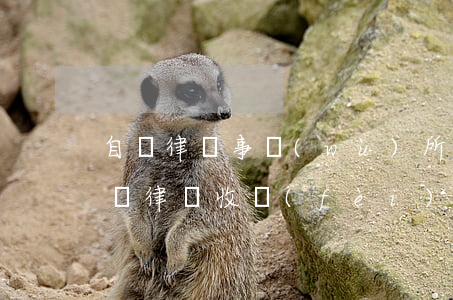 自貢律師事務(wù)所哪個(gè)好(自貢律師收費(fèi)標(biāo)準(zhǔn))