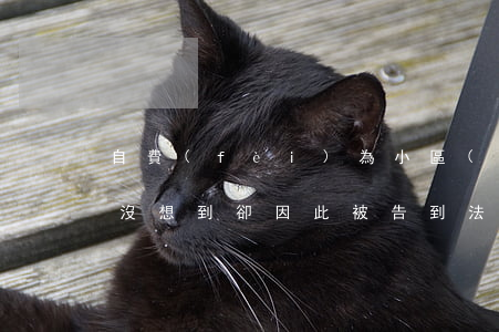 自費(fèi)為小區(qū)買兒童滑梯，沒想到卻因此被告到法院......