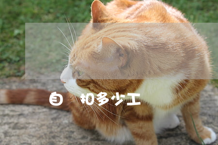 自離扣多少工資