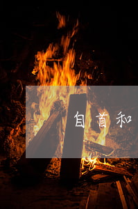 自首和立功(關(guān)于自首和立功)
