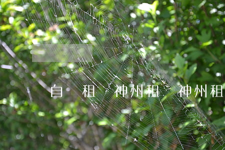 自駕租車神州租車(神州租車官網)