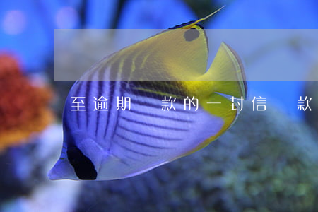 至逾期貸款的一封信(貸款逾期的信息)
