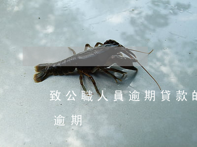致公職人員逾期貸款的(公務(wù)員貸款逾期)