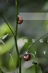致欠信用卡逾期的一封信(感謝信關(guān)于信用卡逾期的)