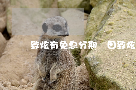 致炫有免息分期 豐田致炫有免息貸款嗎
