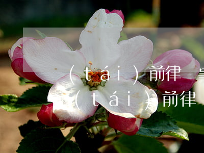 臺(tái)前律師事務(wù)所在哪里(臺(tái)前律師事務(wù)所電話)