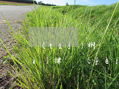 臺(tái)州債權(quán)債務(wù)律師費(fèi)用 臺(tái)州債權(quán)債務(wù)律師費(fèi)用收取標(biāo)準(zhǔn)