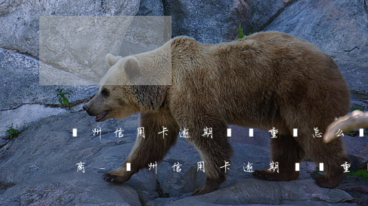 臺州信用卡逾期債務重組怎么協(xié)商-臺州信用卡逾期債務重組怎么協(xié)商還款