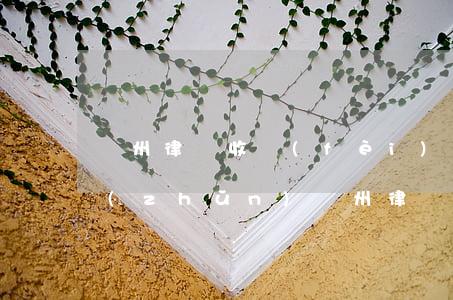臺州律師收費(fèi)標(biāo)準(zhǔn)(臺州律師電話號碼)