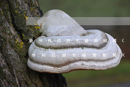 臺州有信用卡逾期被關(guān)的嗎(臺州有信用卡逾期被關(guān)的嗎)