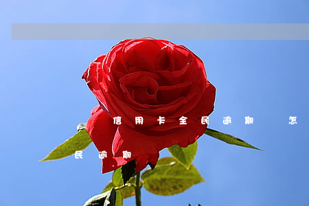 臺灣信用卡全民逾期會怎么樣（臺灣信用卡全民逾期）