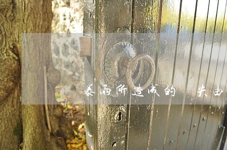 臺風暴雨所造成的損失由誰承擔責任