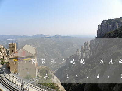舅舅死了姥姥還在怎么繼承(母親去世舅舅有繼承權(quán)嗎?)
