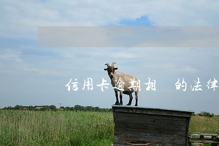 與信用卡逾期相關的法律法規(guī)