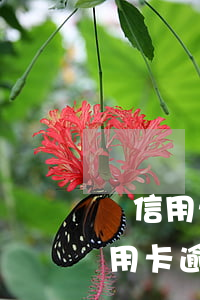 與信用卡逾期相關的法律法規(guī)（信用卡逾期協(xié)商法規(guī)）