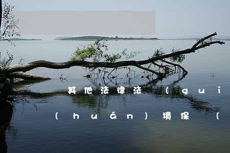 與其他法律法規(guī)沖突(我國《環(huán)境保護(hù)法》與其他法律法規(guī)存在哪些沖突)