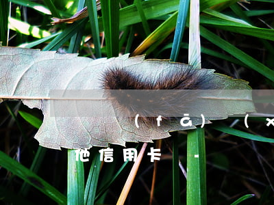 與廣發(fā)協(xié)商還款影響其他信用卡嗎-與廣發(fā)協(xié)商還款影響其他信用卡嗎