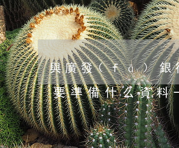 與廣發(fā)銀行協(xié)商還款需要準備什么資料-與廣發(fā)銀行協(xié)商還款需要準備什么資料呢