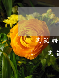 與建筑特種設備相關的法律法規(guī)(與建筑工程安全生產管理相關的法律法規(guī)有哪些)