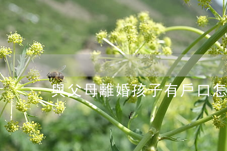 與父母離婚孩子有戶口怎么辦