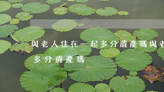 與老人住在一起多分遺產嗎(與老人住在一起多分遺產嗎)