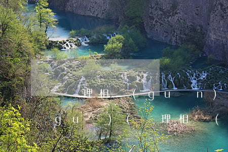 與護理相關(guān)的所有法律法規(guī)(護理相關(guān)法律法規(guī))