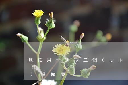興信用卡逾期三個(gè)月經(jīng)偵備案