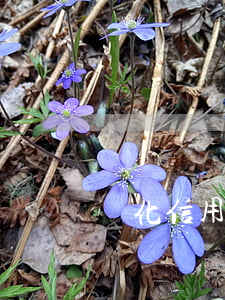 興化信用卡逾期了怎么查(信用卡逾期起訴查詢)