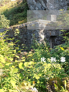 興化刑事律師辯護(興化律師免費咨詢)