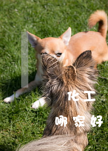 興化工傷死亡律師(興化律師事務(wù)所哪家好)