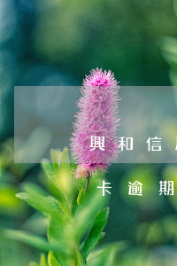 興和信用卡逾期怎么處理(興業(yè)信用卡逾期怎么協(xié)商?)