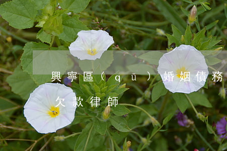 興寧區(qū)婚姻債務(wù)律師(興寧欠款律師)