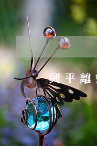 興平離婚退彩禮嗎(訴訟離婚彩禮怎么退)
