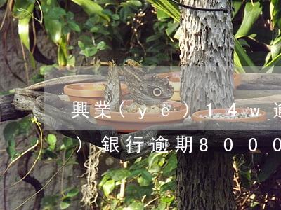 興業(yè)14w逾期起訴嗎(興業(yè)銀行逾期8000半年以上被起訴會(huì)怎樣)