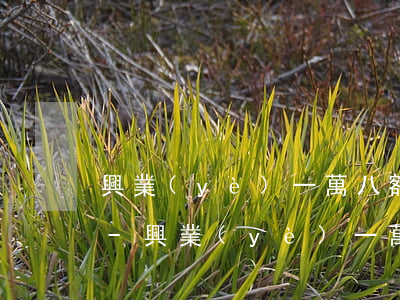 興業(yè)一萬八額度沒逾期讓全額還款-興業(yè)一萬八額度沒逾期讓全額還款是真的嗎
