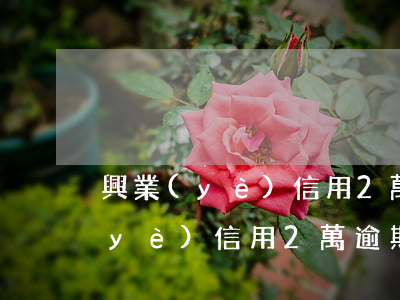 興業(yè)信用2萬逾期會起訴嗎(興業(yè)信用2萬逾期會起訴嗎)