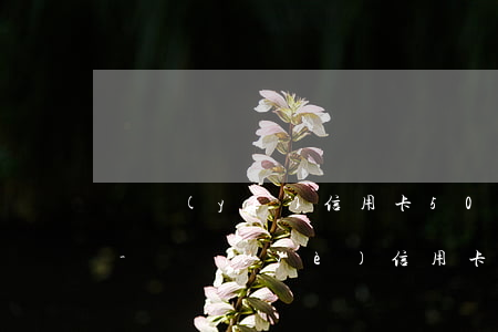 興業(yè)信用卡5000額度逾期3年-興業(yè)信用卡5000額度逾期3年怎么辦