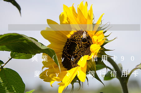 興業(yè)信用卡9000逾期起訴(欠興業(yè)銀行信用卡6萬多法院會怎么判)