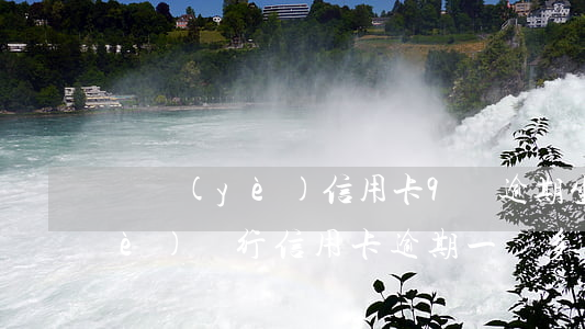 興業(yè)信用卡9萬逾期坐牢(興業(yè)銀行信用卡逾期一萬多會(huì)被起訴嗎)