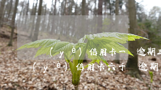 興業(yè)信用卡一萬逾期三個月(欠興業(yè)信用卡六千塊逾期三個月會上門嗎)