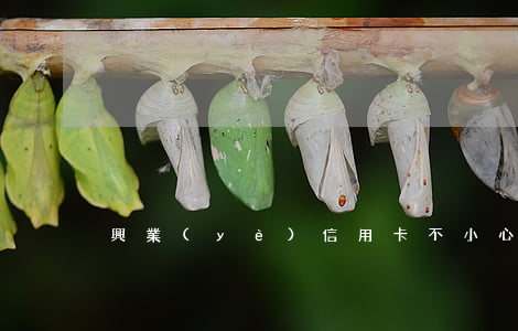興業(yè)信用卡不小心逾期2天