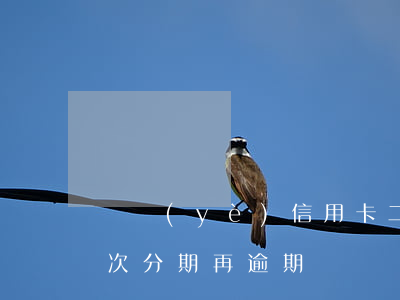 興業(yè)信用卡二次分期逾期(信用卡二次分期再逾期)