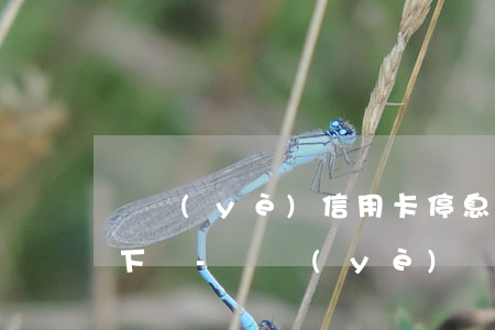 興業(yè)信用卡停息掛賬大約多久能辦下來-興業(yè)銀行申請停息掛賬容易嗎