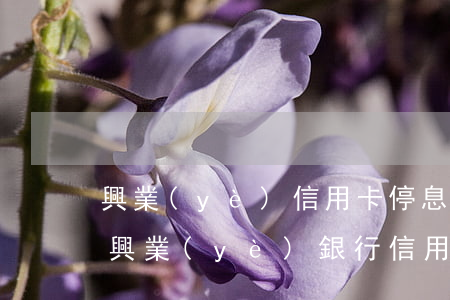 興業(yè)信用卡停息掛賬手續(xù)(興業(yè)銀行信用卡能停息還款嗎)